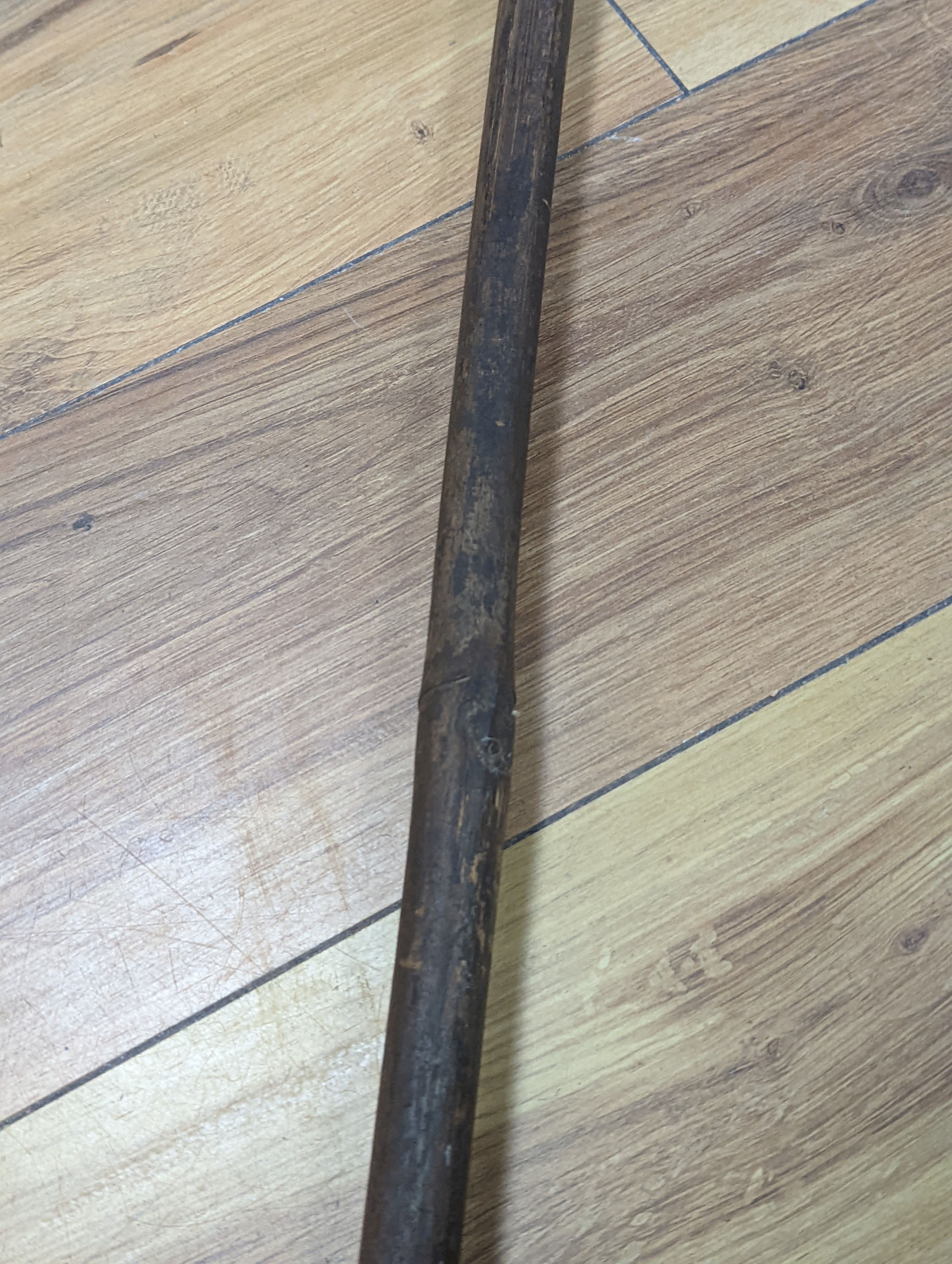 Two East Africa, Transvaal (Zululand) spears, 236cm